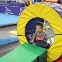 Viking Gymnastics & Dance ico