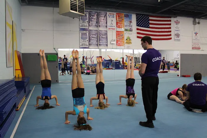 Viking Gymnastics & Dance Picture 4