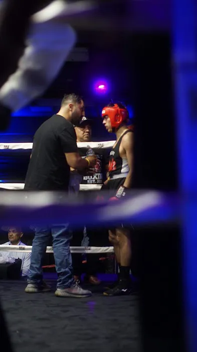 Punch Out Boxing Picture 10