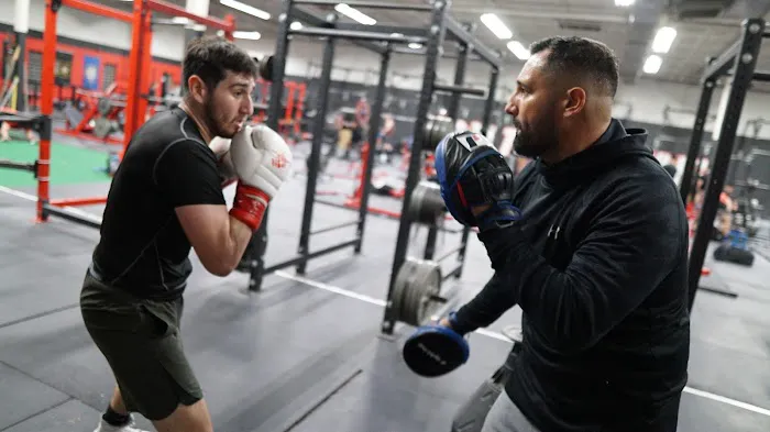 Punch Out Boxing Picture 5