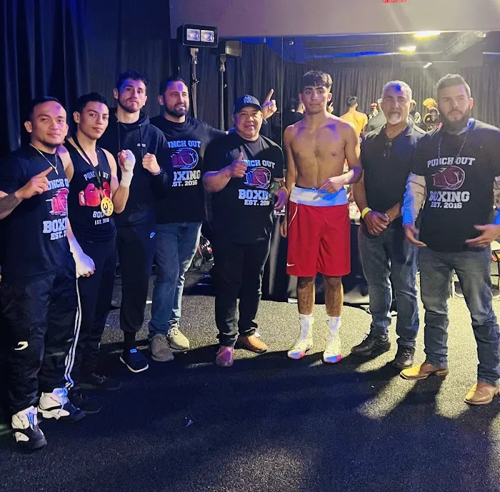 Punch Out Boxing Picture 4