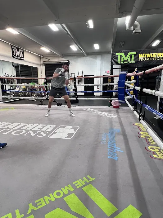 Punch Out Boxing Picture 1