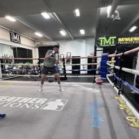 Punch Out Boxing ico