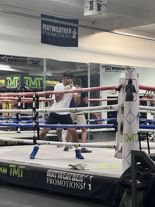 Punch Out Boxing Picture 2