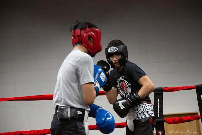 Punch Out Boxing Picture 6