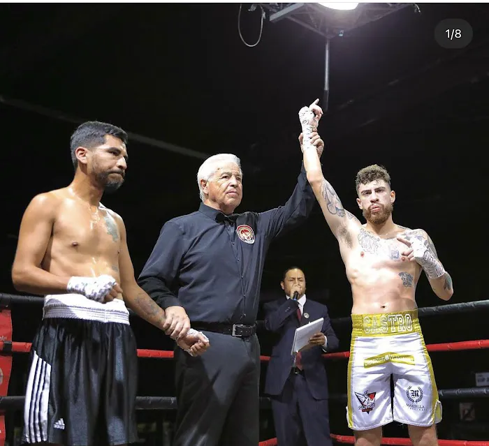 Punch Out Boxing Picture 7