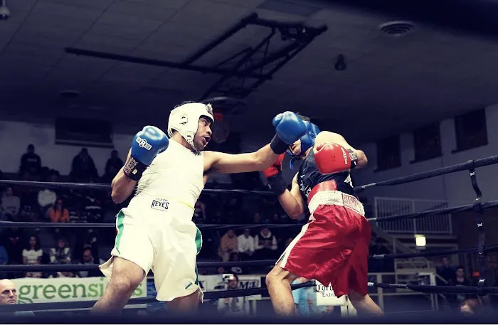 Punch Out Boxing Picture 8