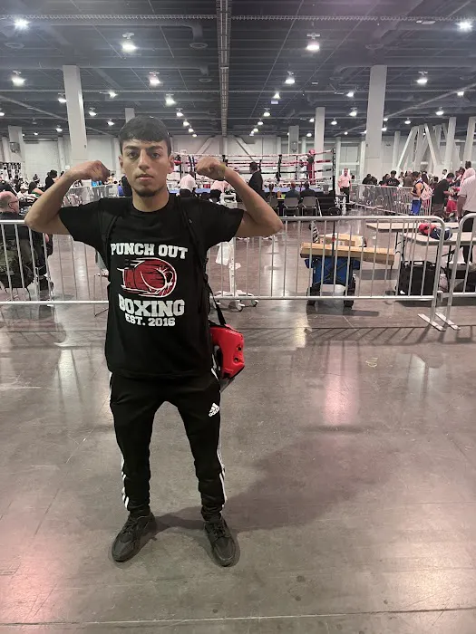 Punch Out Boxing Picture 3