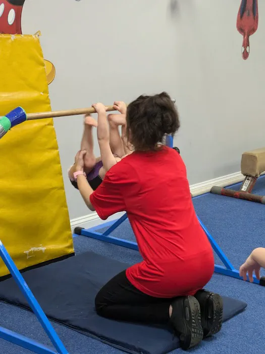 Palmer's Gymnastics Picture 3