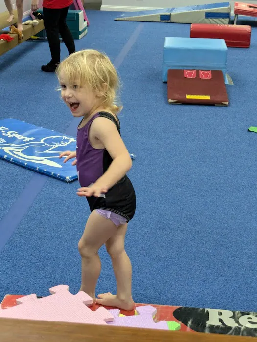 Palmer's Gymnastics Picture 1