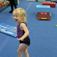 Palmer's Gymnastics ico