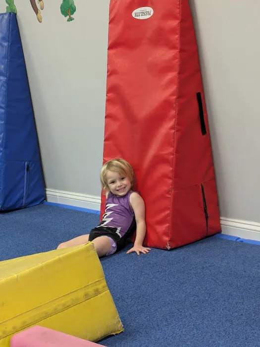 Palmer's Gymnastics Picture 4