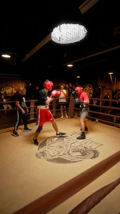 BIG MONKEY BOXING GYM Picture 6