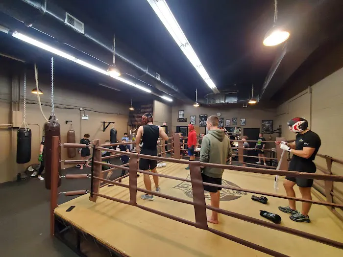 BIG MONKEY BOXING GYM Picture 8