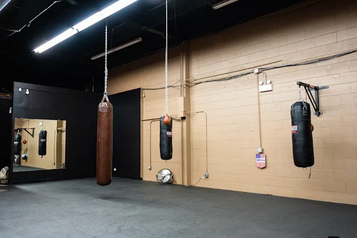 BIG MONKEY BOXING GYM Picture 10