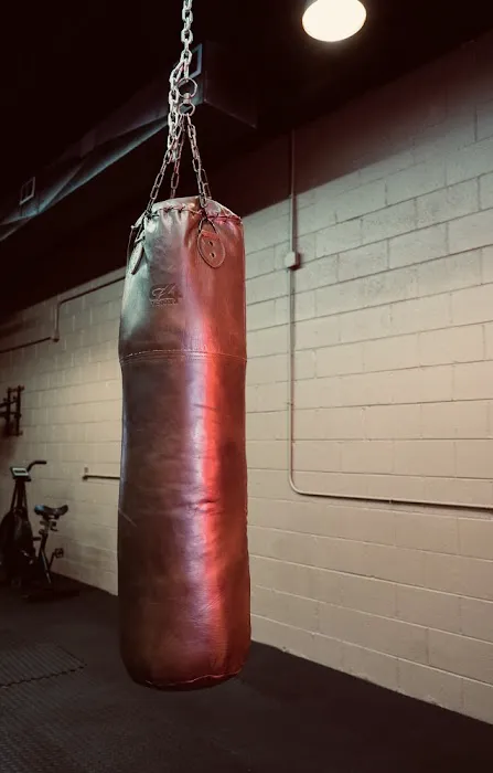 BIG MONKEY BOXING GYM Picture 9