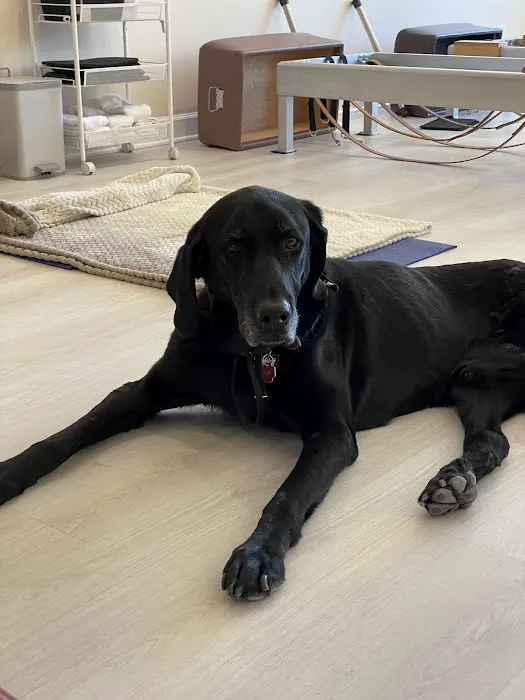 Pilates Stance Picture 1