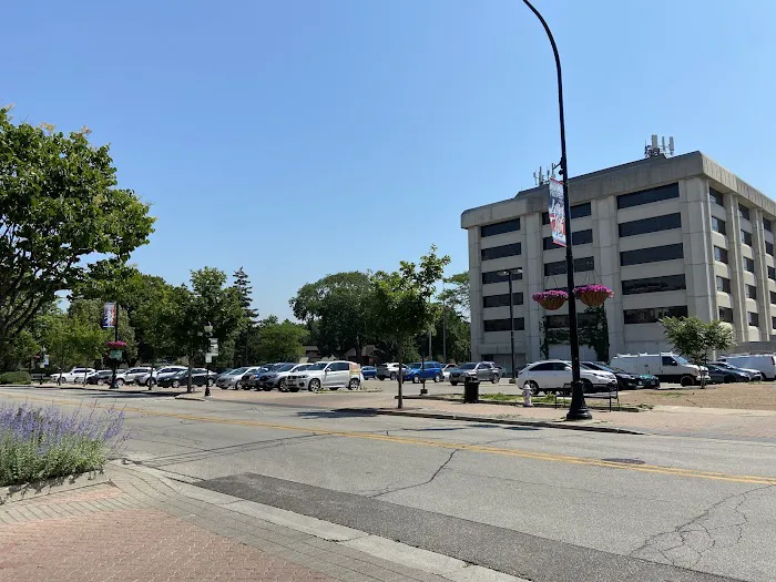 Body & Brain Yoga Tai Chi Picture 2