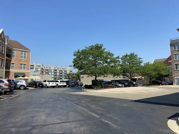 Body & Brain Yoga Tai Chi Picture 6