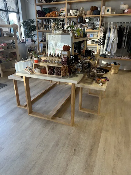 Lumi Studio + Shoppe Picture 5