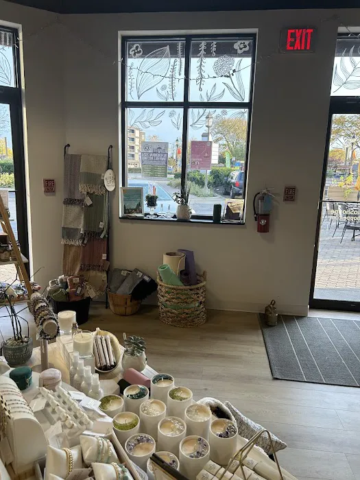 Lumi Studio + Shoppe Picture 1