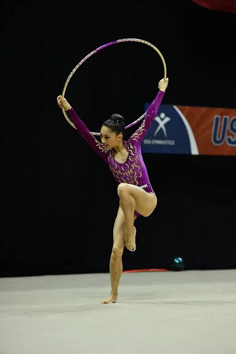Vitrychenko Gymnastics Academy in Chicago, IL Picture 7