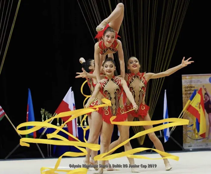 Vitrychenko Gymnastics Academy in Chicago, IL Picture 3