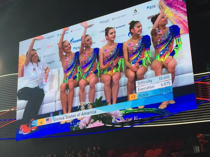 Vitrychenko Gymnastics Academy in Chicago, IL Picture 4