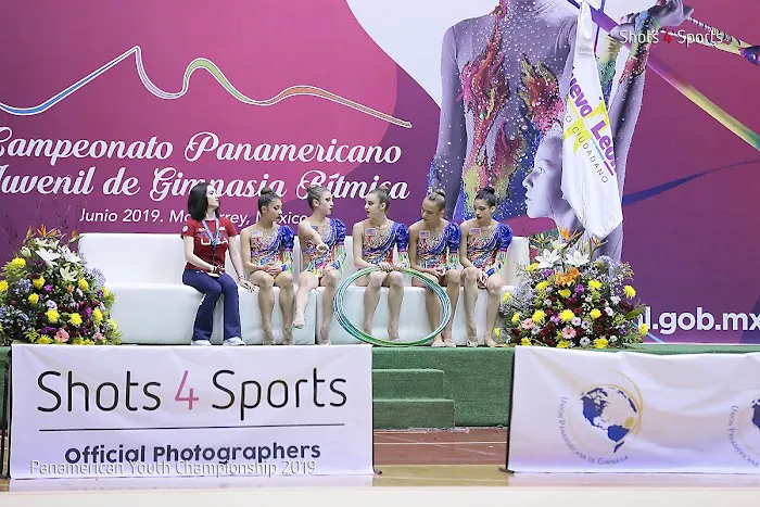 Vitrychenko Gymnastics Academy in Chicago, IL Picture 9