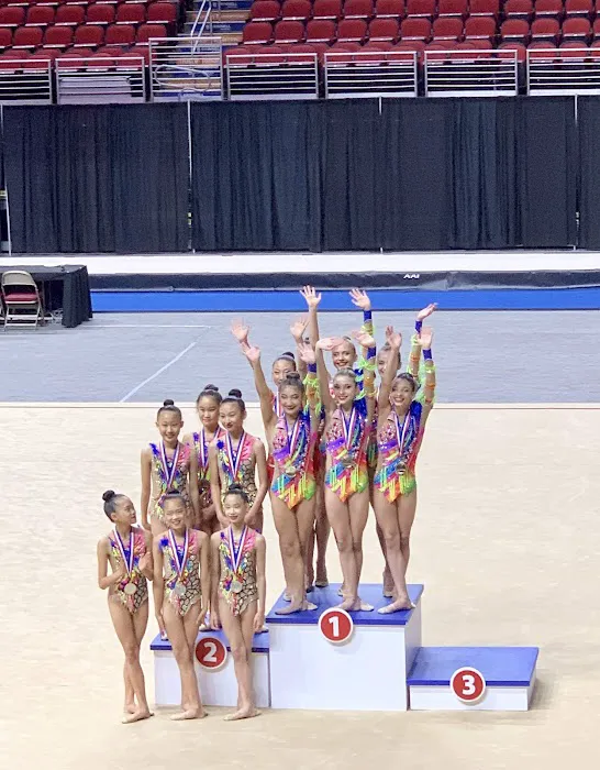 Vitrychenko Gymnastics Academy in Chicago, IL Picture 10