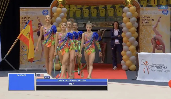 Vitrychenko Gymnastics Academy in Chicago, IL Picture 2