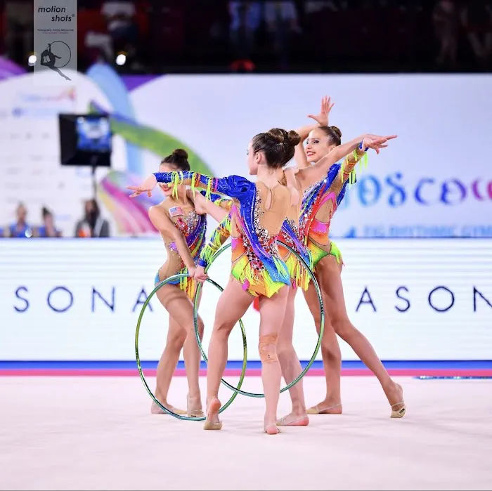 Vitrychenko Gymnastics Academy in Chicago, IL Picture 6