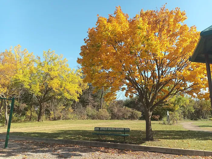 Fitness Court at Thorndale Park Picture 5