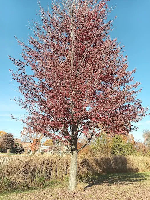 Fitness Court at Thorndale Park Picture 3