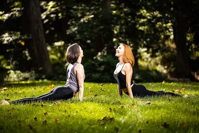 Easy Day Yoga & Meditation Picture 1