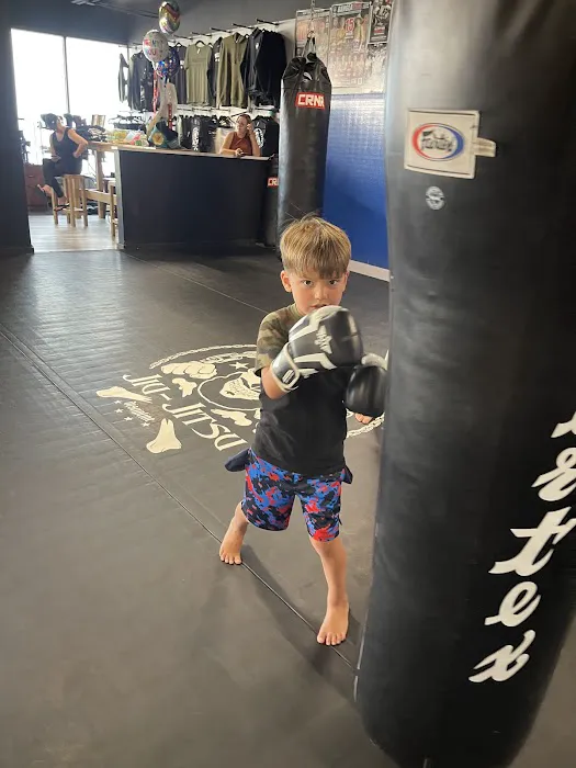  Maximus Muay Thai and Fitness Picture 2