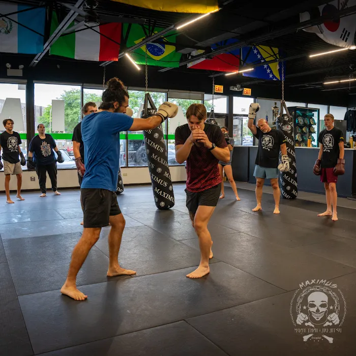  Maximus Muay Thai and Fitness Picture 7