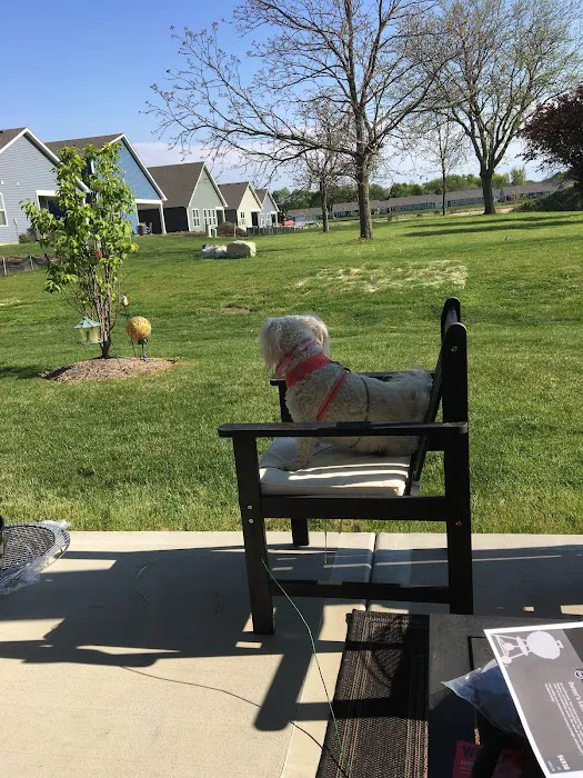 Anytime Fitness Picture 4