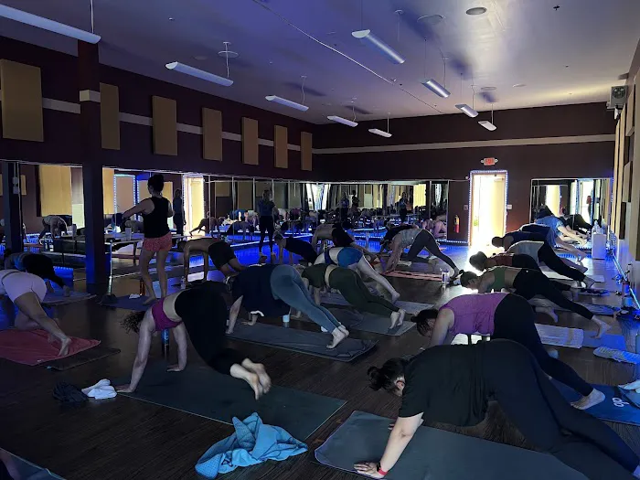 Body Alive Aurora Picture 2