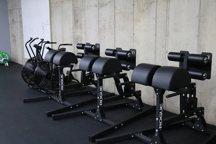 Fox River Strength and Conditioning, Home of North Aurora CrossFit Picture 5