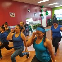 Wegofit nutrition ico