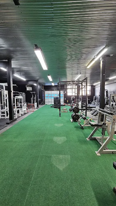 RTQ Fitness Picture 8