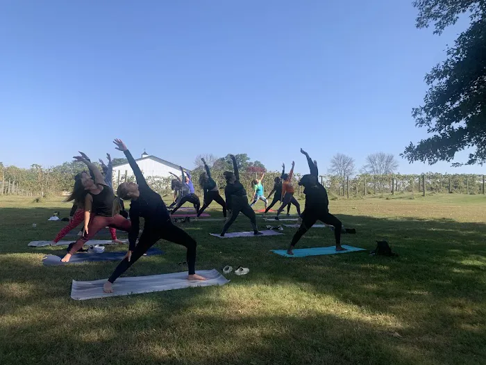 Intuitive Peace Yoga Studio Picture 1