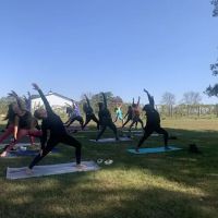 Intuitive Peace Yoga Studio ico