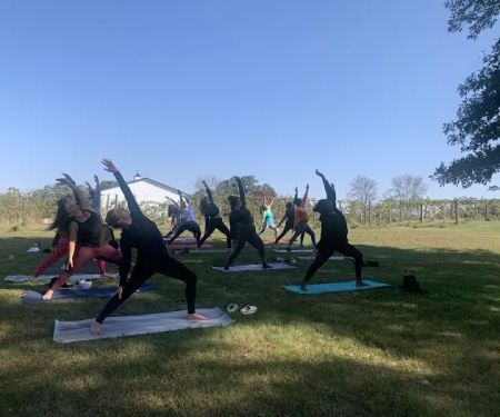 Intuitive Peace Yoga Studio