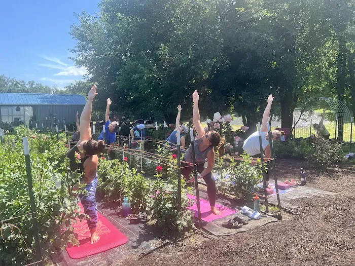 Intuitive Peace Yoga Studio Picture 6