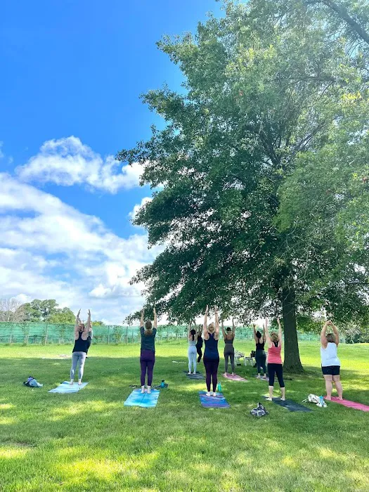 Intuitive Peace Yoga Studio Picture 4