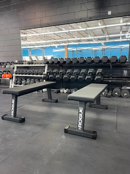 KT3 Fitness Picture 6