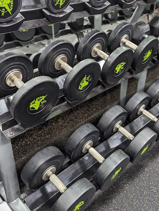 Top Shape Gym Picture 5