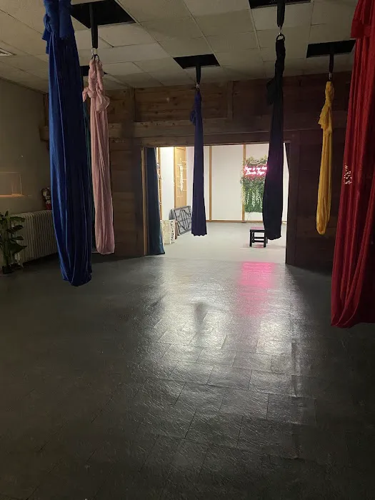 Elevate Yoga Studio Picture 2